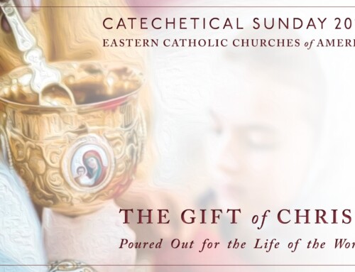Catechetical Sunday + Fall Curriculum Launch